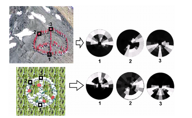 Self-similarity descriptor